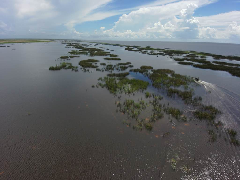 Restored ecosystem at Kings Bay