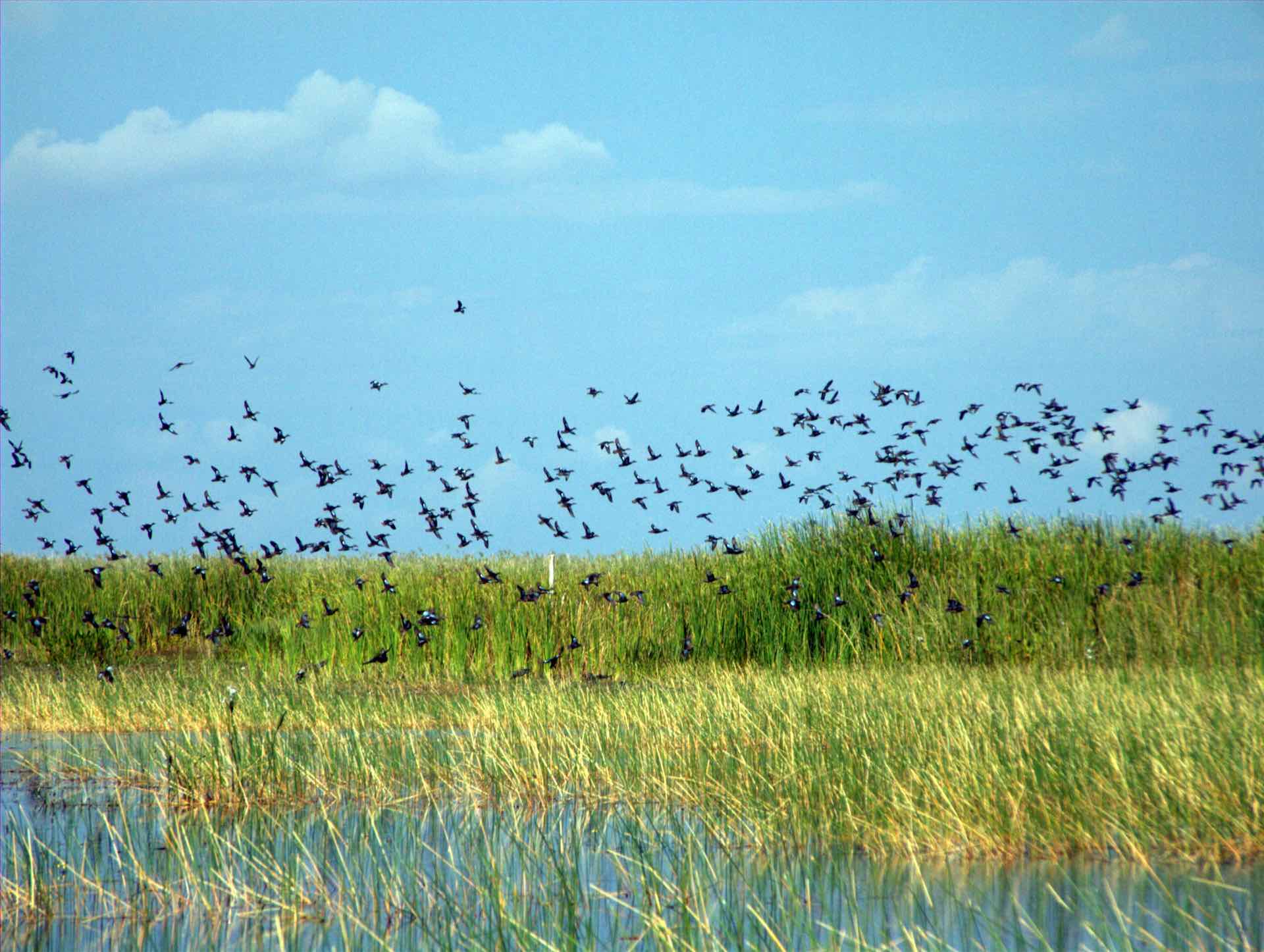 Aerial view of Lake Okeechobee